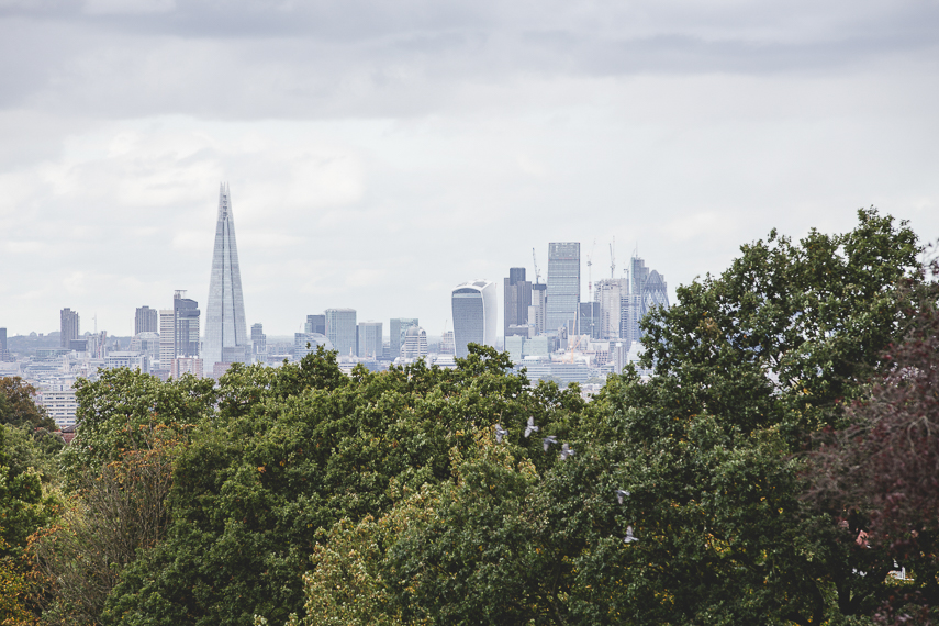 Horniman Museum Wedding Photographer